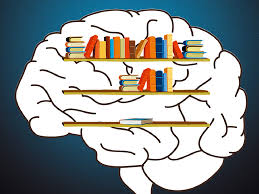 Где и как пройти практику студенту? особенности разных специальностей